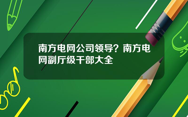 南方电网公司领导？南方电网副厅级干部大全