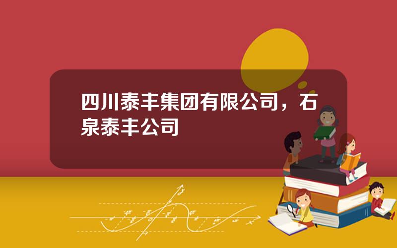 四川泰丰集团有限公司，石泉泰丰公司