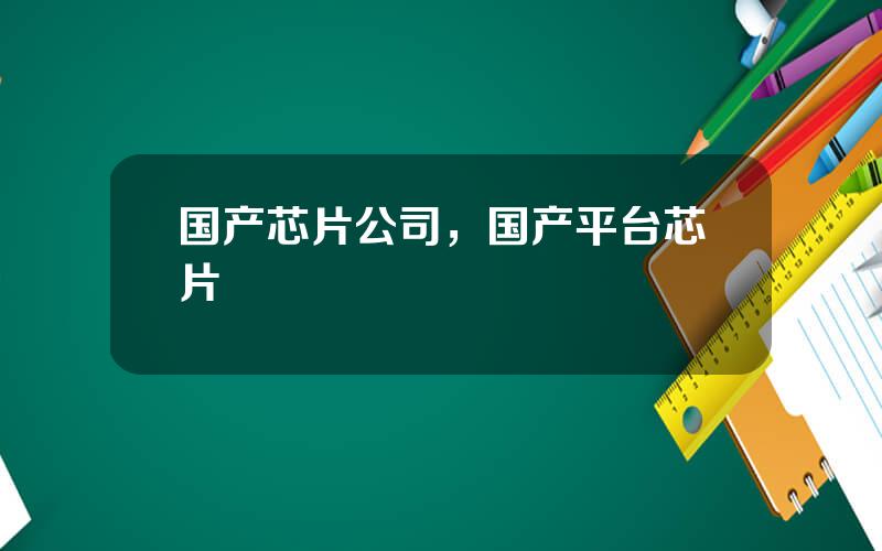 国产芯片公司，国产平台芯片
