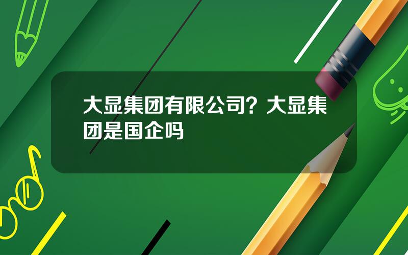 大显集团有限公司？大显集团是国企吗