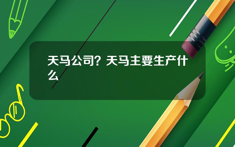 天马公司？天马主要生产什么
