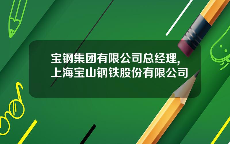 宝钢集团有限公司总经理,上海宝山钢铁股份有限公司