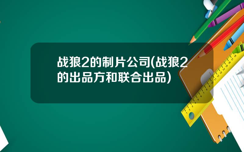 战狼2的制片公司(战狼2的出品方和联合出品)