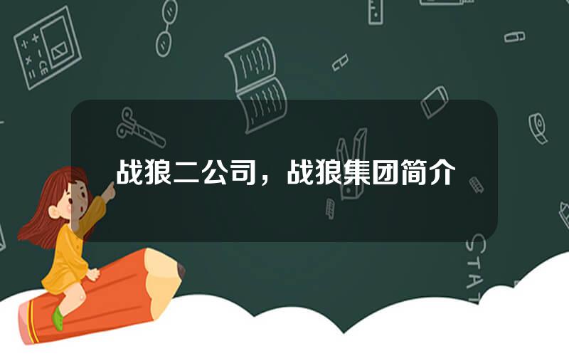 战狼二公司，战狼集团简介