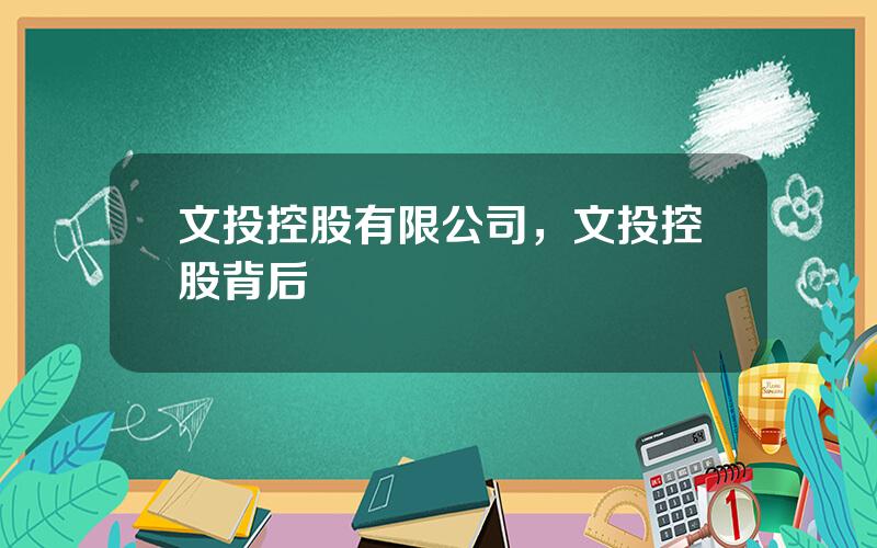 文投控股有限公司，文投控股背后